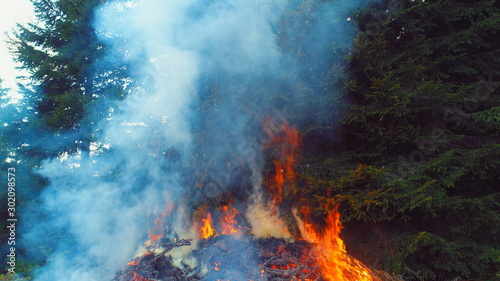 fire flames starting to ignite try branches in dry forest aerial drone