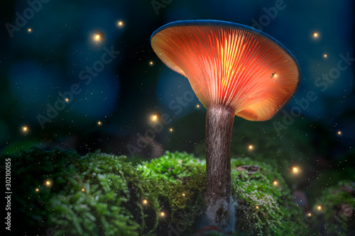 Glowing orange mushrooms on moss in dark forest with fireflies