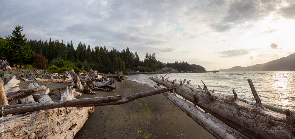 Port Renfrew, Vancouver Island, BC, Canada. Beautiful Panoramic View of a beach in a small town during a cloudy summer sunset.