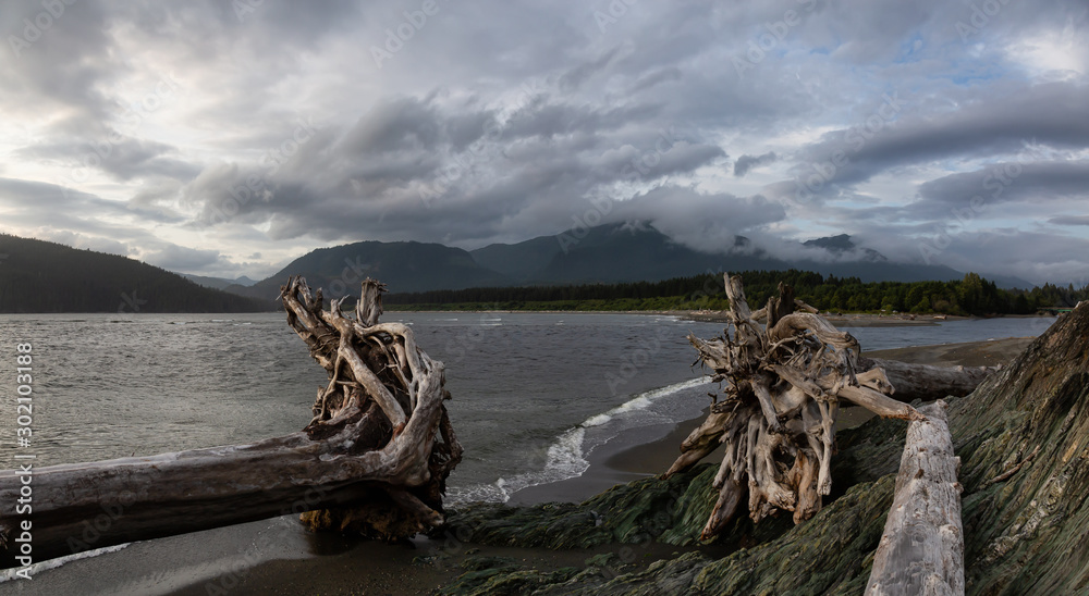 Port Renfrew, Vancouver Island, BC, Canada. Beautiful Panoramic View of a beach in a small town during a cloudy summer sunset.