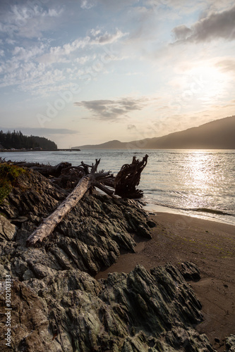 Port Renfrew  Vancouver Island  BC  Canada. Beautiful View of a beach in a small town during a cloudy summer sunset.