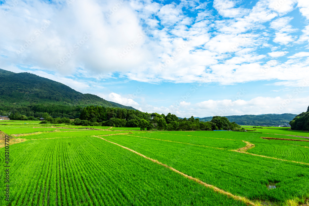 田染荘