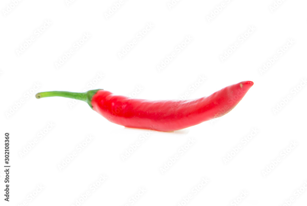 chilli isolated on white background chilli isolated on white background