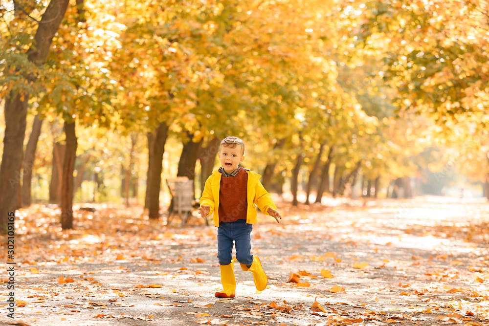 Cute little boy having fun in autumn park Cute little boy having fun in autumn park