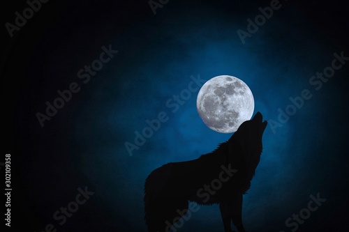 Silhouette of howling wolf and full moon background with moonlight night sky. Elements of this photo furnished by NASA.