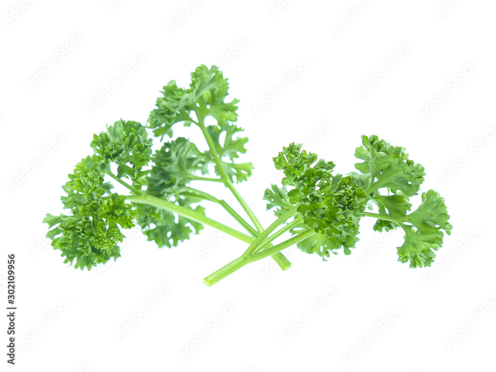 Parsley isolated on white background Parsley isolated on white background