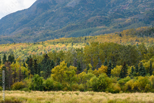 Fall landscape of boreal forest and mountain above the Brooks River, Katmai National Park, Alaska, USA
