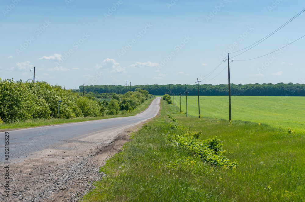 Empty countryside road with green field on the side and forest in the distance
