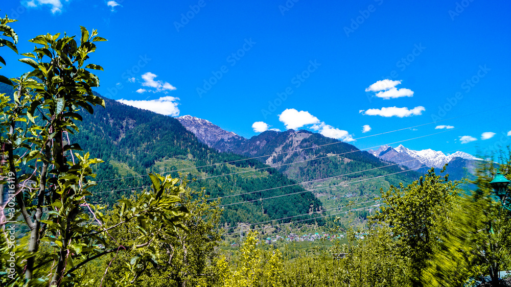 mountain landscape with mountains and trees