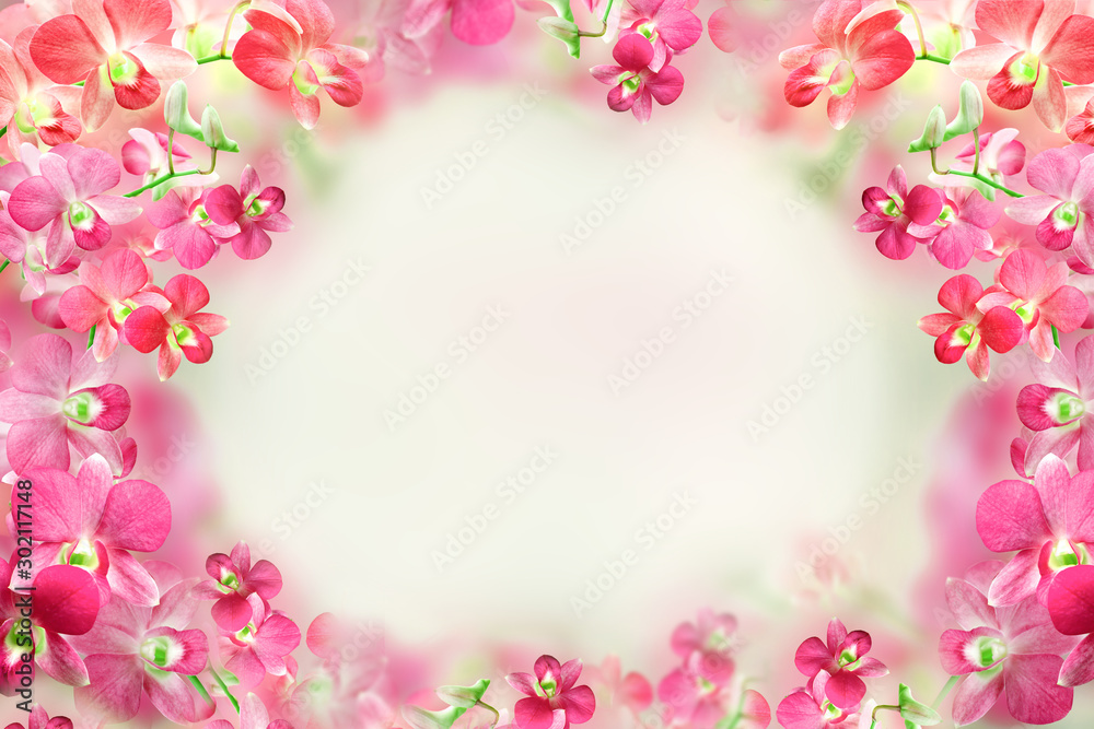 beautiful pink and red orchid flower frame background beautiful pink and red orchid flower frame background