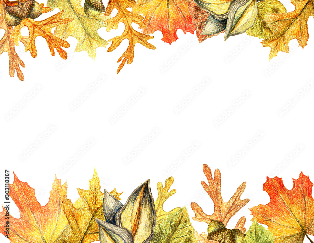 Autumn leaves and acorn border frame with space text on transparent  background. Seasonal floral maple oak tree orange leaves with gourds for  thanksgiving holiday watercolor pencils illustration Stock-Illustration |  Adobe Stock