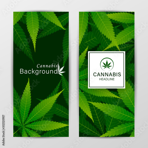 Set of vector cover templates with cannabis leaves for business, advertising, exhibition, party and etc.