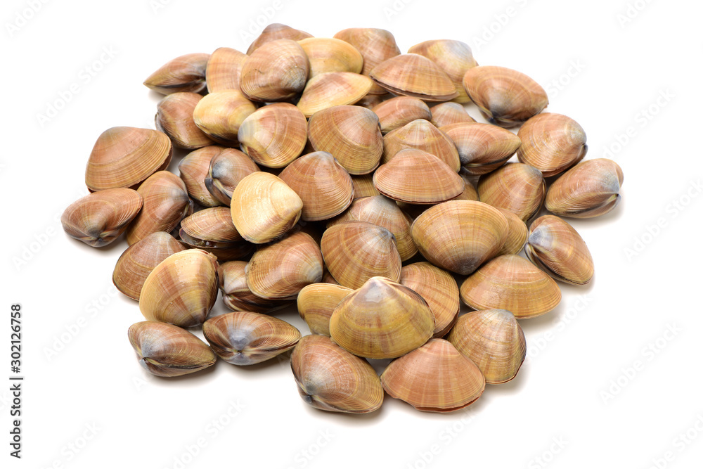 Stacked fresh raw clams on white background Stacked fresh raw clams on white background