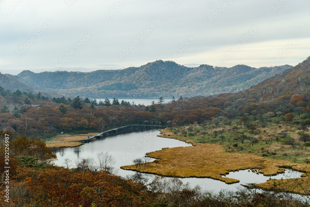 歩く人がいる湿原の風景／This wetland is located on Mt. Akagi in Gunma Prefecture, Japan.