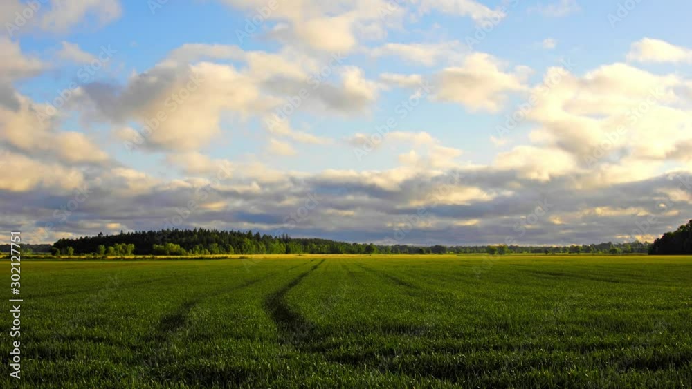 Time Lapse, Arable Land With Rye Time Lapse, Arable Land With Rye