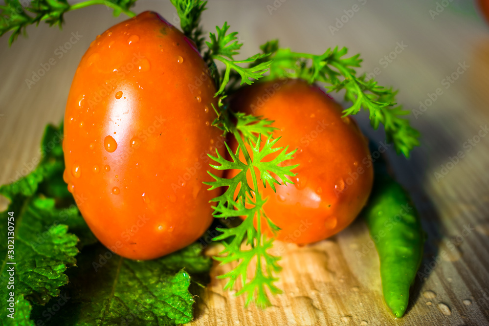 fresh and healthy red tomatoes with green hot chili and coriander leaves with water drops in them kept on a wooden table fresh and healthy red tomatoes with green hot chili and coriander leaves with water drops in them kept on a wooden table