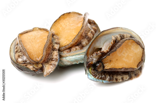 Raw abalones on the white background 
