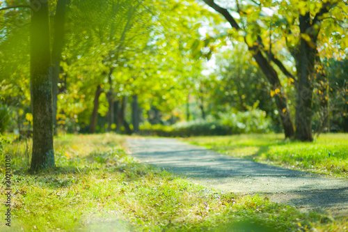green park blur bokeh background