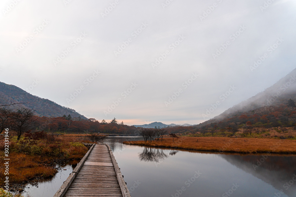 遊歩道のある湿原／This wetland is the awakening of Gunma Prefecture in Japan