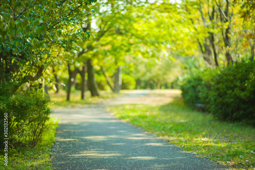 green park blur bokeh background