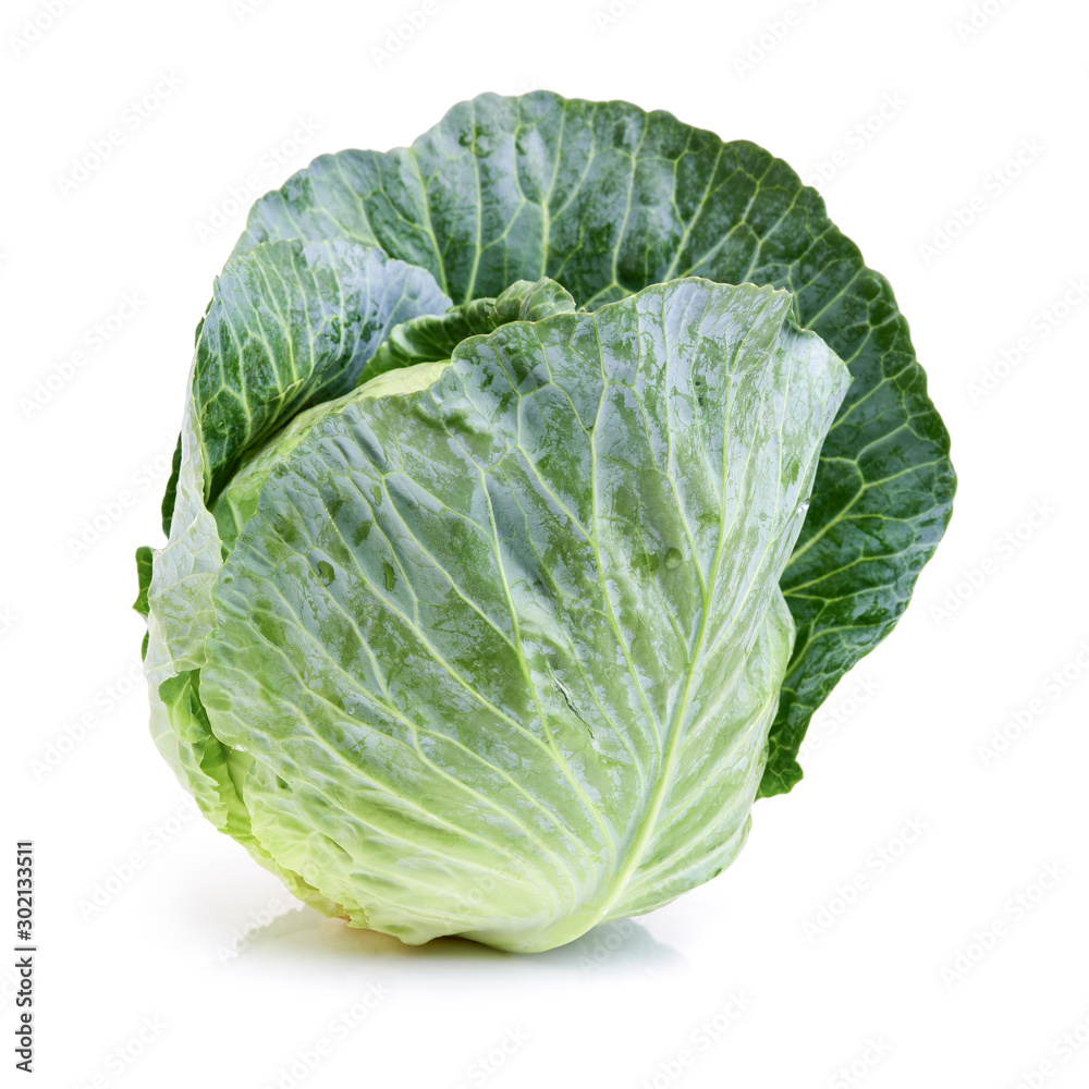 Fototapeta premium Cabbage on a white background