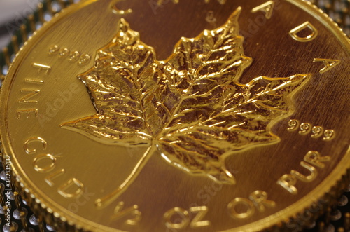 カナダの金貨