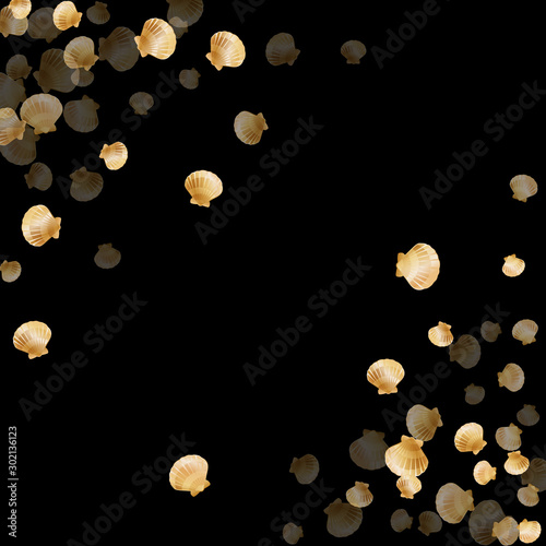 Oceanic scallop, bivalve pearl shell, marine mollusk isolated on black wild life nature background.