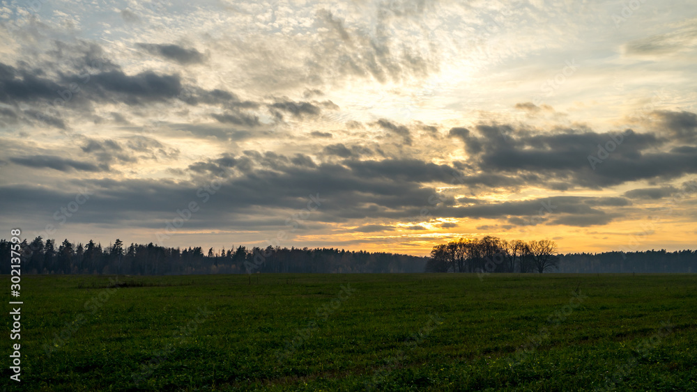 Evening landscape. Field and forest edge. Clouds and sunset.