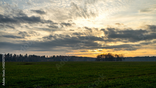 Evening landscape. Field and forest edge. Clouds and sunset.