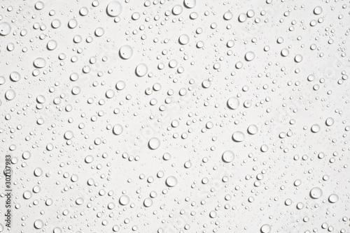 Water droplets on white background