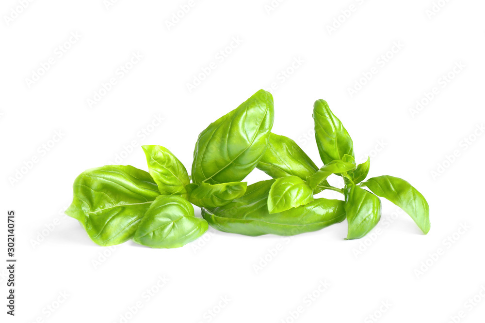 Obraz premium Fresh green basil leaves isolated on white