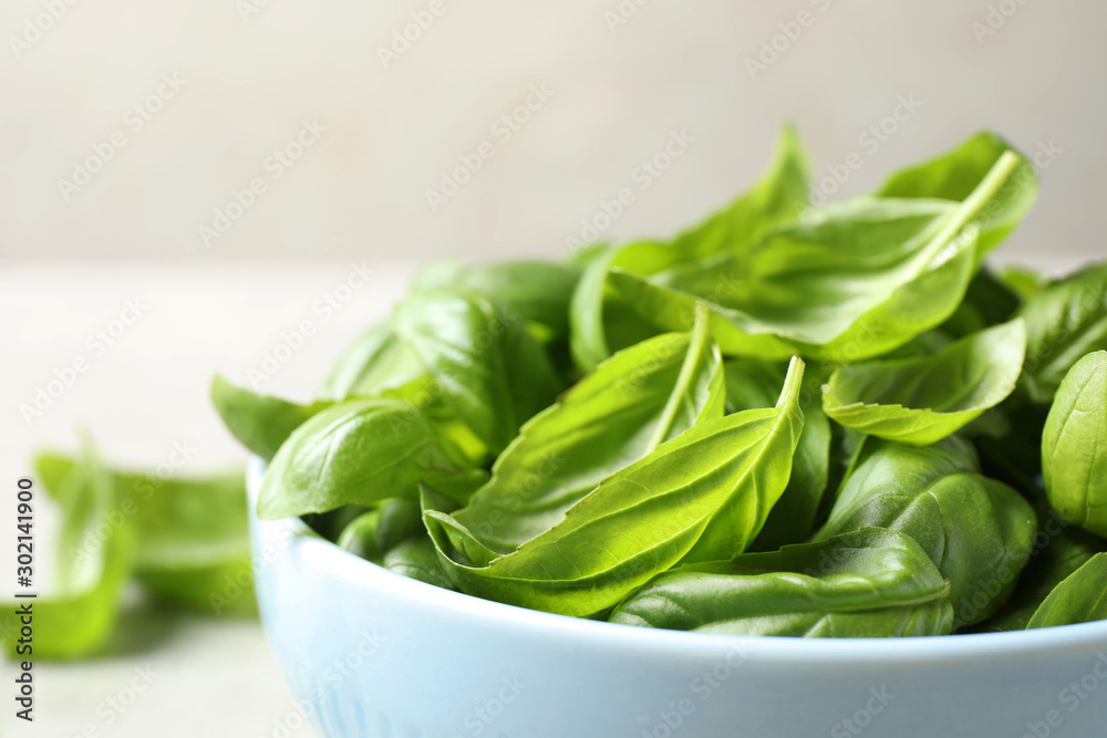 Fresh green basil leaves on table, closeup Fresh green basil leaves on table, closeup