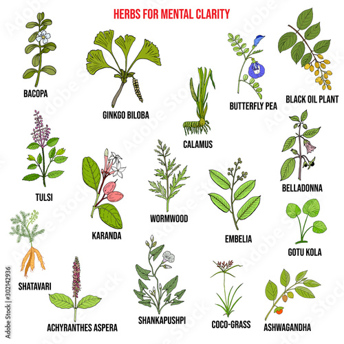 Best herbs for mental clarity