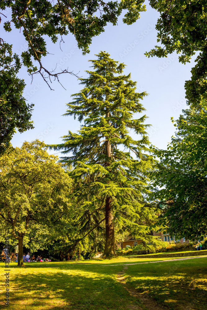 Lovely sunny day in Goffs Park Crawley England Lovely sunny day in Goffs Park Crawley England