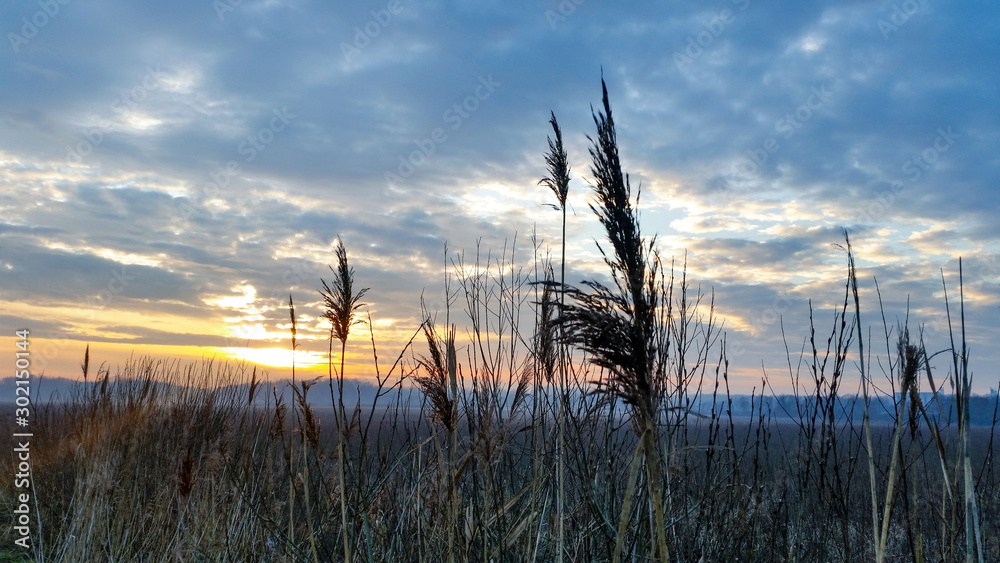 Obraz premium sunset over the fild