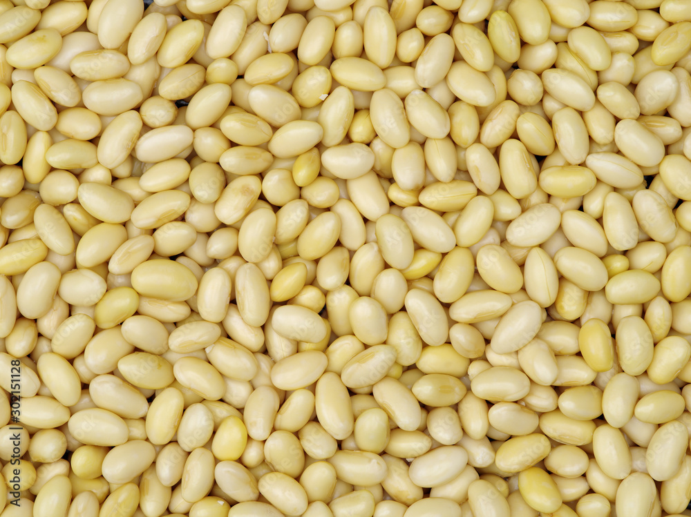 soybean isolated on white background soybean isolated on white background