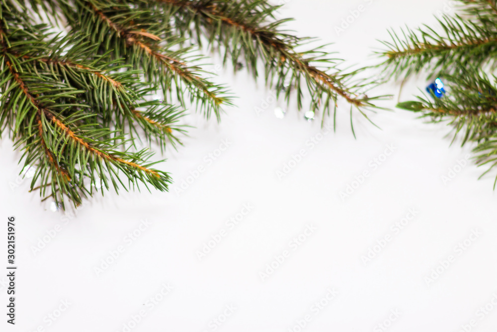 Green fir branches closeup on white background Green fir branches closeup on white background