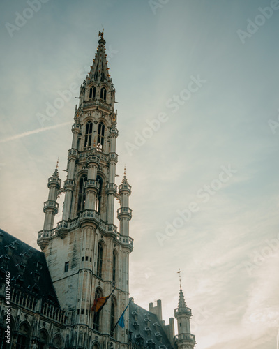 Big tower bell tower of a gothic building