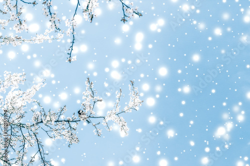 Canvas Print Christmas, New Years blue floral background, holiday card design, flower tree an