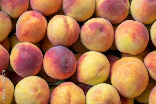 photo of peaches lined up with row