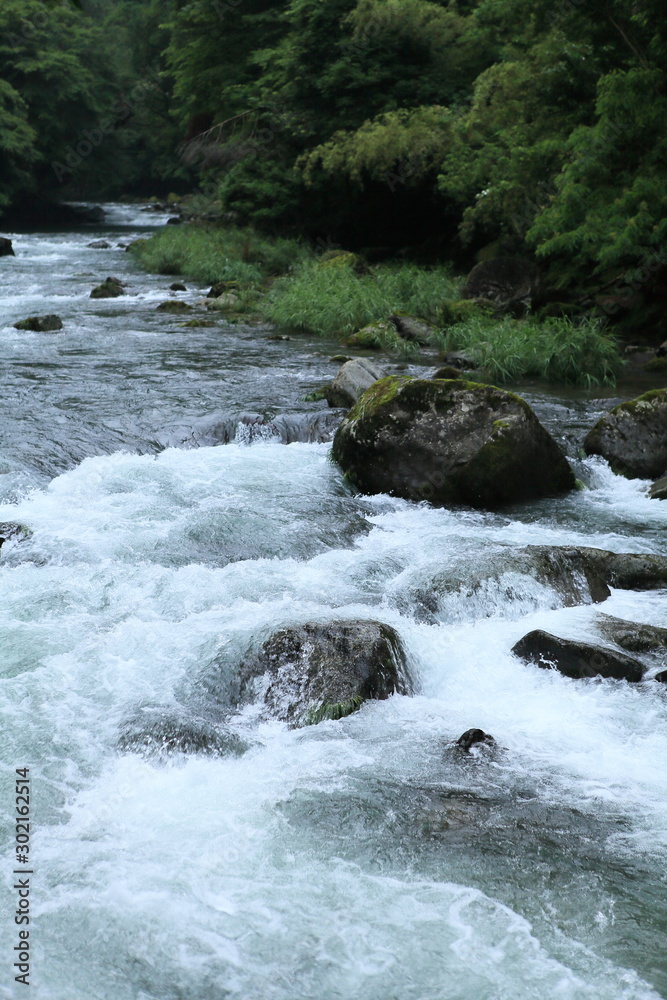 Fototapeta premium 渓流