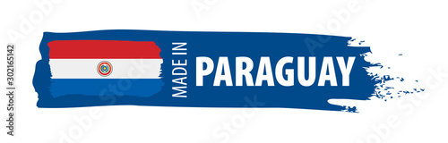 Paraguay flag, vector illustration on a white background