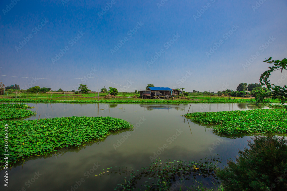 Saphan Khong Floating Market - SuphanBuri:10 November2019,River side attractions(giant fish randomly,bamboo bridge)There are tourists visiting to see the food,eat while onholiday,SongPhiNong,thailand Saphan Khong Floating Market - SuphanBuri:10 November2019,River side attractions(giant fish randomly,bamboo bridge)There are tourists visiting to see the food,eat while onholiday,SongPhiNong,thailand