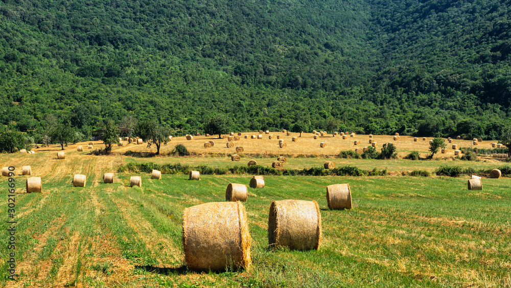 Rural landscape near Priverno, Lazio