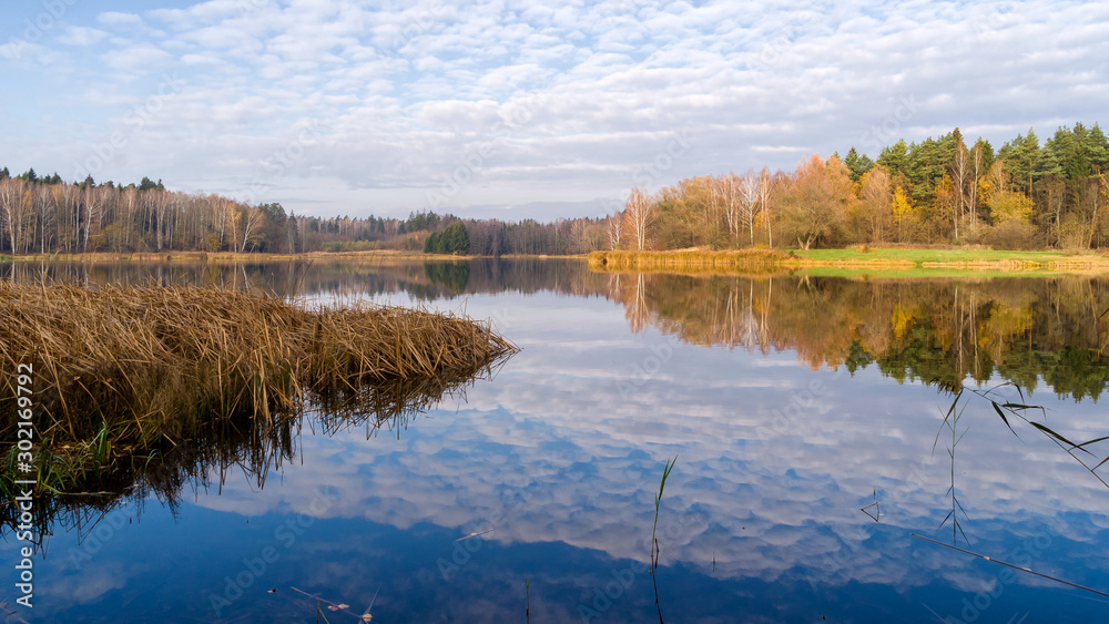 Zalew Czapielówka w Czarnej Białostockiej, Puszcza Knyszyńska, Polska złota jesień, Podlasie