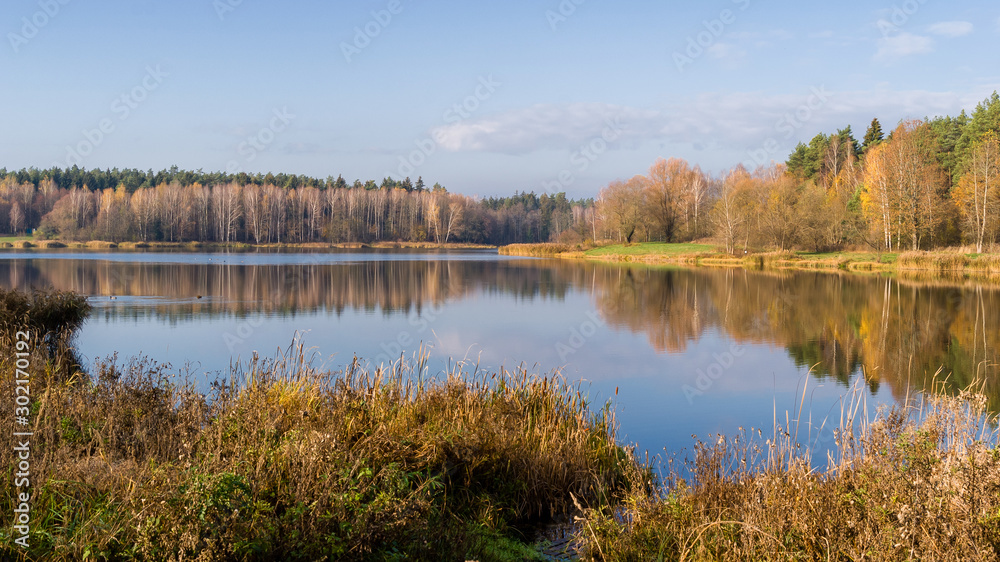 Zalew Czapielówka w Czarnej Białostockiej, Puszcza Knyszyńska, Polska złota jesień, Podlasie