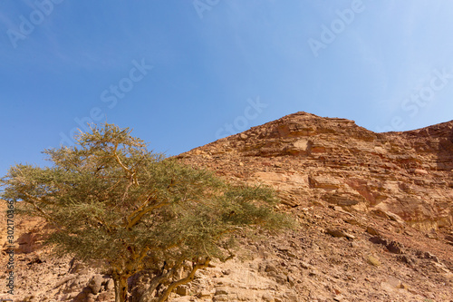 Coloured Canyon is a rock formation on South Sinai (Egypt) peninsula. Desert rocks of multicolored sandstone background. 