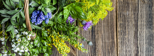 Fresh herbs from the garden on wooden table. Mix of herb on wood.