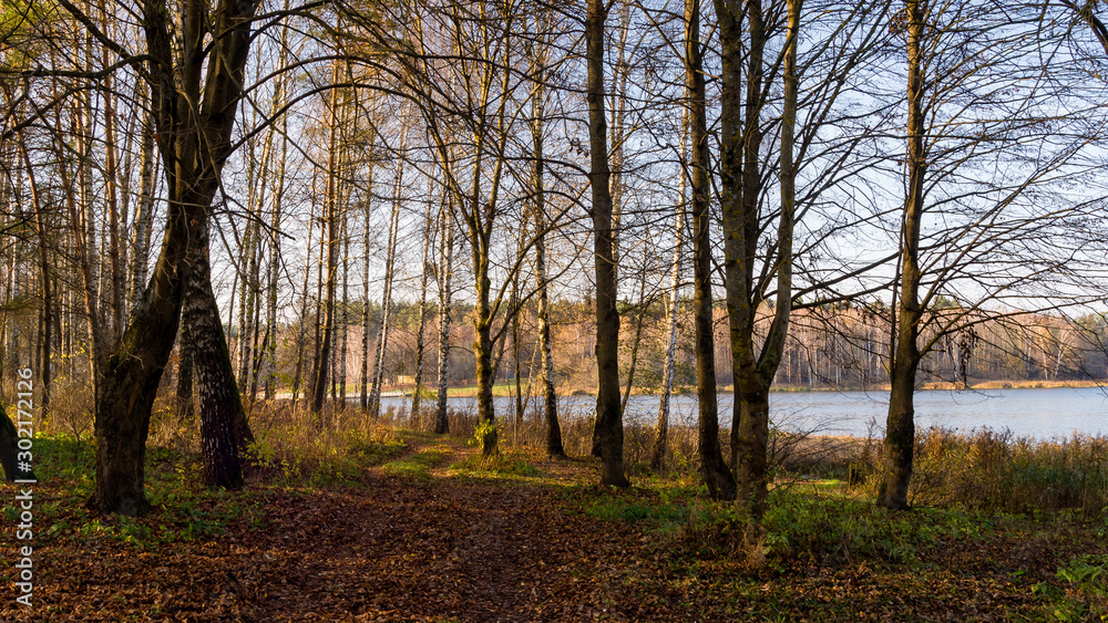 Fototapeta premium Zalew Czapielówka w Czarnej Białostockiej, Puszcza Knyszyńska, Polska złota jesień, Podlasie