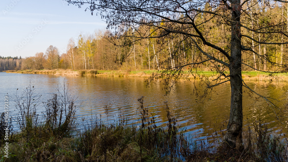 Zalew Czapielówka w Czarnej Białostockiej, Puszcza Knyszyńska, Polska złota jesień, Podlasie Zalew Czapielówka w Czarnej Białostockiej, Puszcza Knyszyńska, Polska złota jesień, Podlasie